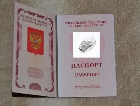 прописка в Ковылкино